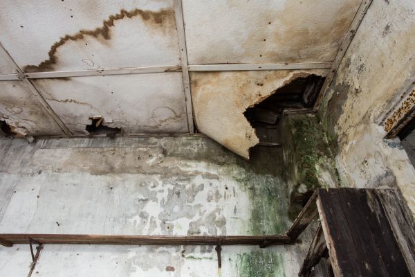 Water Damage Service in Cary