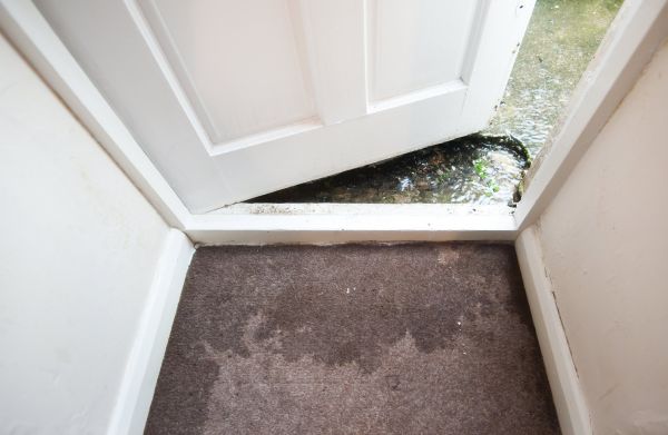 Wet Carpet Restoration in Cary