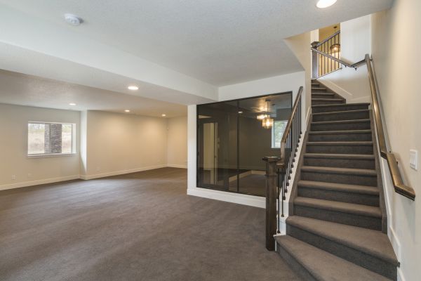 Basement Restoration Service in Cary
