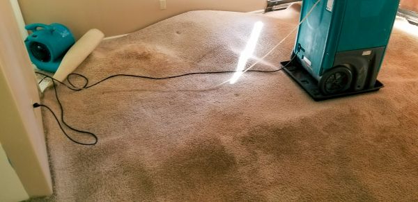 Carpet Water Extraction in Cary