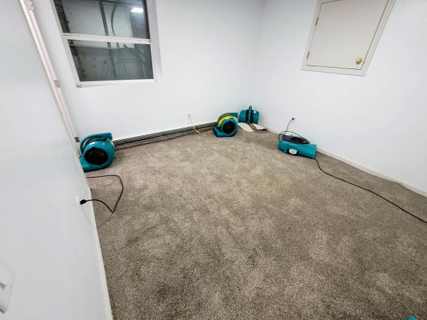 Flood Restoration Service in Cary