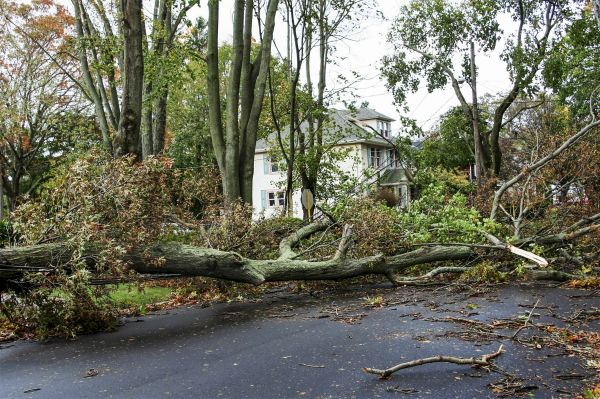 Tornado Damage Repair in Cary