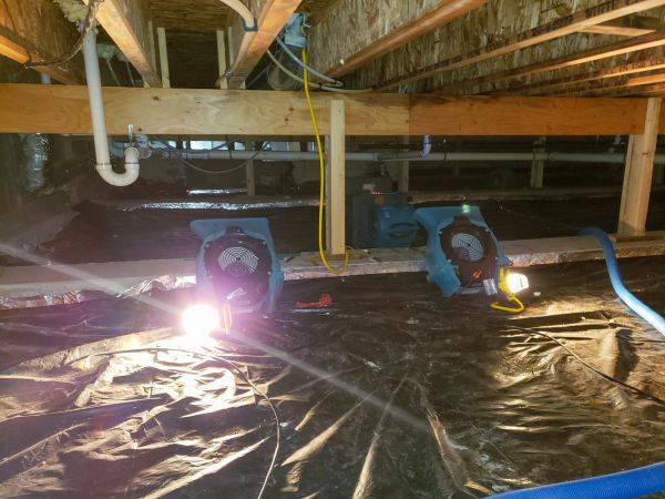 Cost of Crawlspace Water Removal in Cary